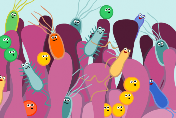 Rolul microbilor intestinali în scleroza multiplă